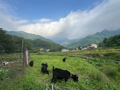 -周洛大峡谷