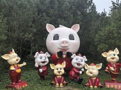 -石家庄市动物园