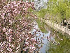 -海棠花溪(元大都城垣遗址公园)