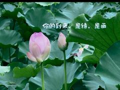 -重元寺