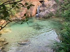 -南海湾森林生态园