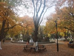 -山东大学(趵突泉校区)