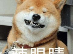 -微笑时刻照相馆·企业合影·商务外拍(北京五道口店)