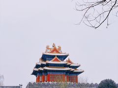 -故宫博物院(故宫)