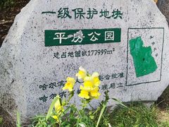 -平房公园