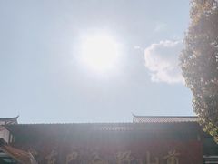 -东巴谷野生菌火锅餐厅