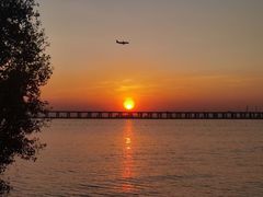 -宝安西湾红树林湿地公园