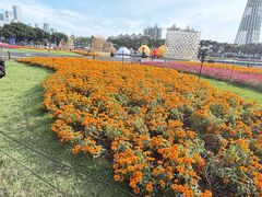 -海心沙亚运公园