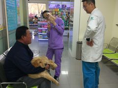 -瑞派宠物医院·24h·骨外科·皮肤科·全科宠物医疗转诊中心(沈阳浑南院)