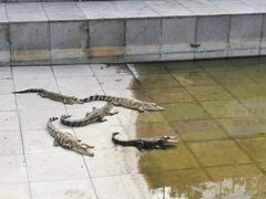 -万佛湖风景区