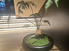 -锦城印象火锅(天府三街店)