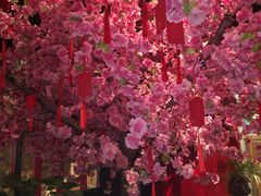 -隐樂門·活牛蛙火锅酒馆