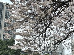 -红星桥(地铁站)