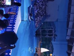 -海合安武汉极地海洋公园