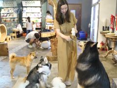 -more than meow吴止猫主题餐厅(承德 中船汇店)