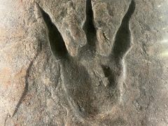 -湖南省地质博物馆