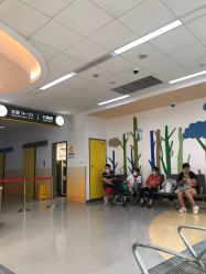 -上海交通大学医学院附属上海儿童医学中心(陆家嘴总院区)