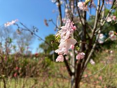 -观澜湖生态运动公社