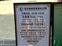 -西双版纳原始森林公园