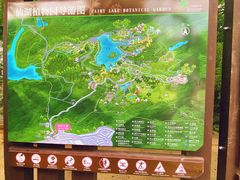 -深圳仙湖植物园