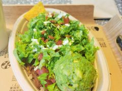 -油梨树AVOCADO TREE(望京店)