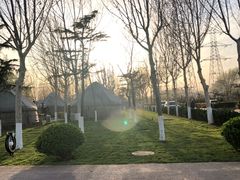 -九十九顶毡房(阜石路店)