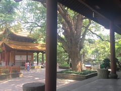 -普陀山风景名胜区-法雨禅寺