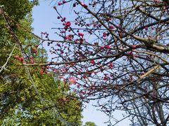 -张江润和国际总部园