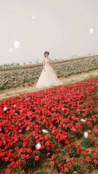 点击看大图 -薇咖映画婚纱摄影工作室