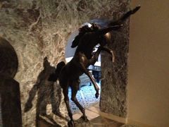 -月亮河温泉度假酒店