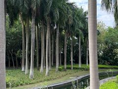 -南宁南湖公园