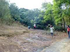 android_upload_pic-广州市石门国家森林公园