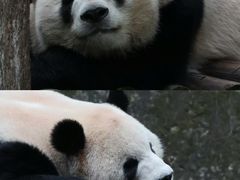 -无锡动物园·太湖欢乐园