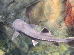 -波塞冬旅游度假区