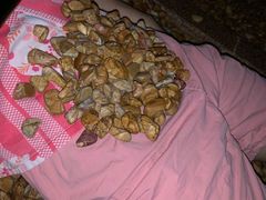 -嘉悦汗蒸时代(曙光路店)