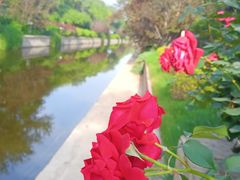 -元大都城垣遗址公园