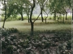 -长春公园(普阳街道)