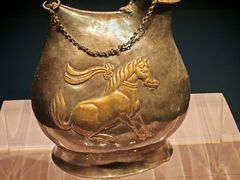 -陕西自然博物馆