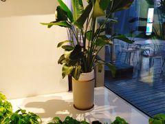 -鲨鱼菲特(金沙湖店)