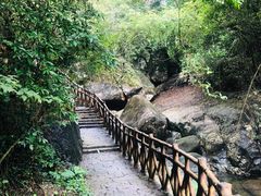 -广州市流溪河国家森林公园