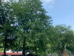 -将军关探险漂流