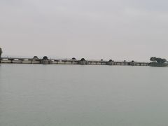 -贡湖湾湿地公园