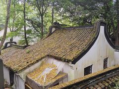 -虎跑公园