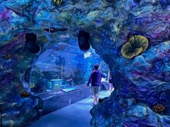 -海合安成都极地海洋公园