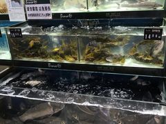 -永辉超市(嘉定大融城店)