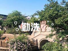 -林屋梅海青梅保护基地
