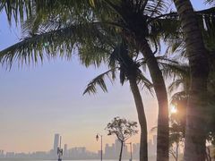-深圳湾公园(南山区)