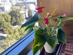 -同庆楼(金宝汇店)