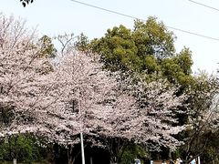 -雅和生态渔庄·宜城锅巴饭(龙灵山公园店)