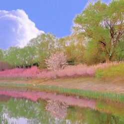 -大望京儿童游乐场